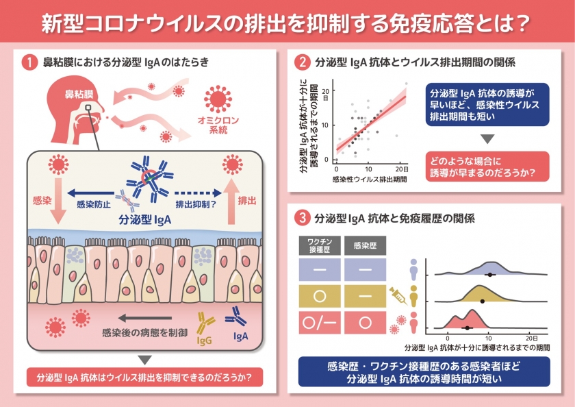 臨床粘膜免疫学 71DlCewQDwL.jpg